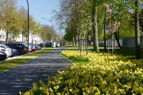 Nach dem Umbau: Frühjahrsstimmung auf dem Niedersachsendamm