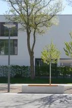 Sitzbank und Leuchtenmast in dem Baumhain