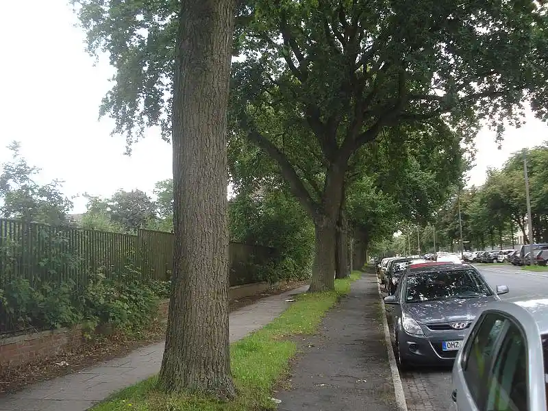 Fu&szlig;- und Radweg entlang des Cambraigel&auml;ndes