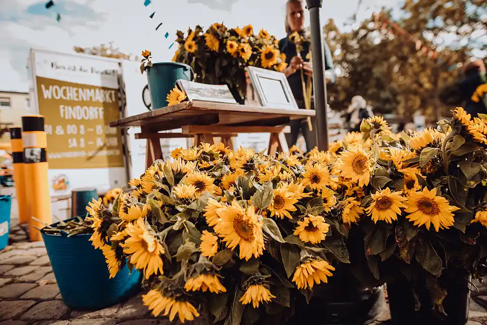 BioStadt Marktfefst 2020