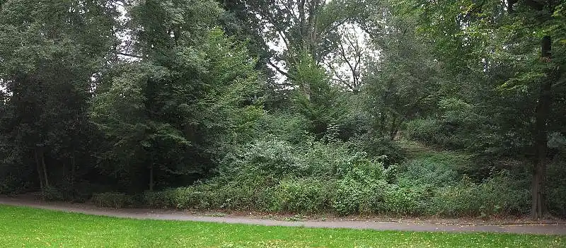 Das Foto zeigt dichtes Buschwerk am Hang des H&uuml;gels