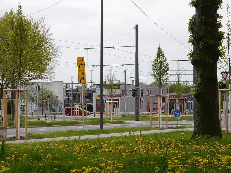 Bl&uuml;hende Wiese im Bereich Kornstra&szlig;e / Niedersachsendamm