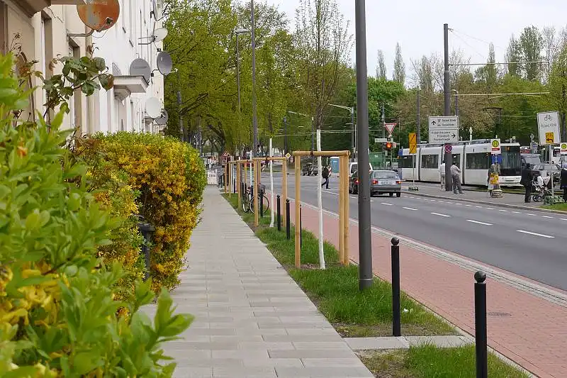Vorg&auml;rten und Baumstreifen auf der westlichen Seite