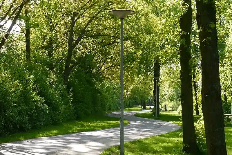 Wegef&uuml;hrung im Altbaumbestand