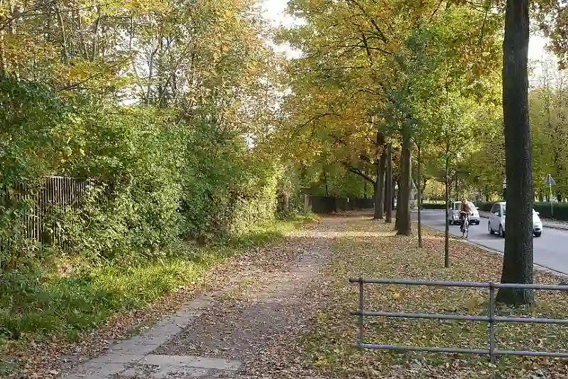 Dichter Bewuchs am Rand zum Buntentorsdeich