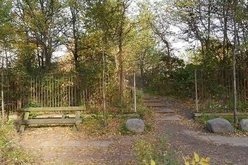 Zugang zu der Wildnis vom Buntentorsdeich aus