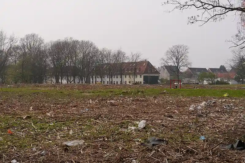 Brachfl&auml;che am Niedersachsendamm