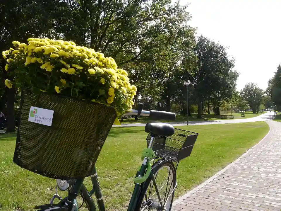 Fahrrad im der Neustadtswallanlage mit neuem Radweg 