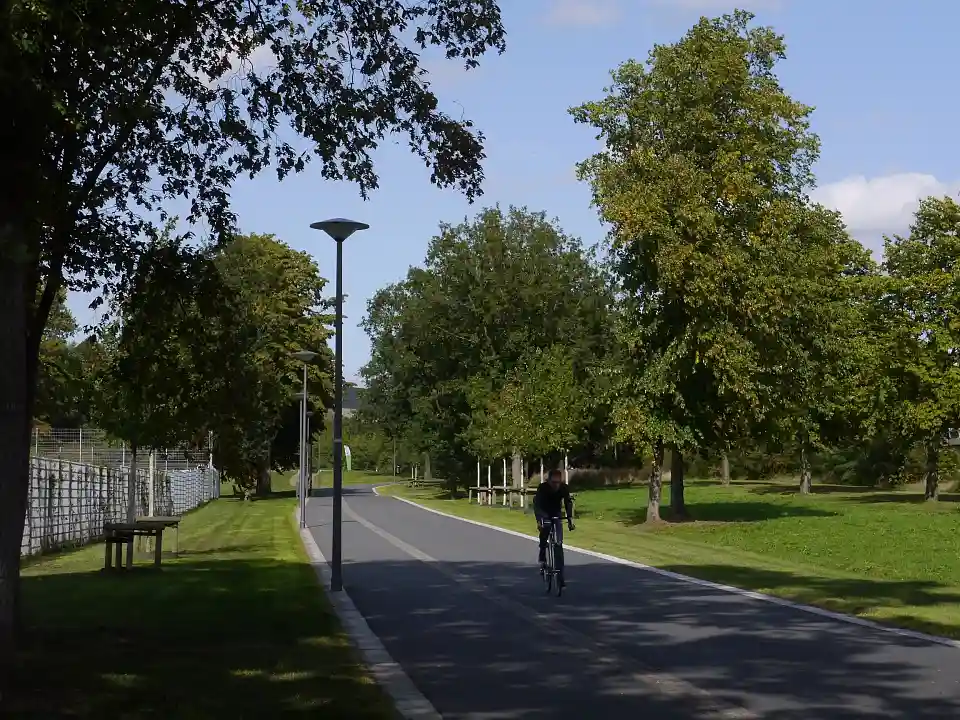 Radfahrer auf neuem Radweg in den Neustadtswallanlagen