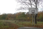 Ein Basketballkorb auf der Brache