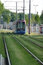 Straßenbahn auf Rasengleis