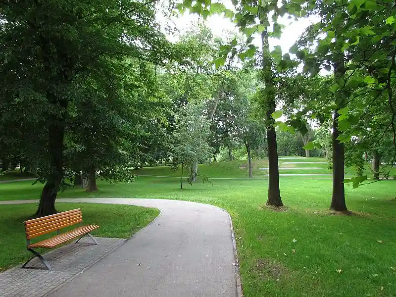 Das Foto zeigt eine Sitzbank an einem geschwungenen Weg entlang einer Rasenfl&auml;che mit B&auml;umen