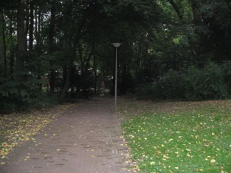 Das Foto zeigt einen Parkweg, der in einen dunklen Teil des Parks f&uuml;hrt