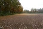 Brachliegender Sportplatz