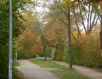 Wegeabschnitt in Höhe der Kita Kornstraße (vor Sanierung)