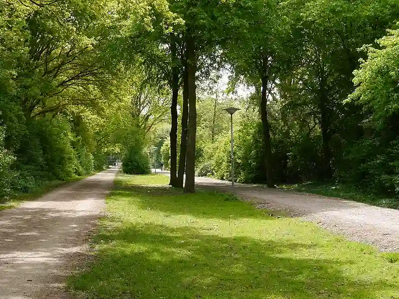 Zwei versiegelte Trassen f&uuml;r Radfahrende und Fu&szlig;g&auml;nger:innen