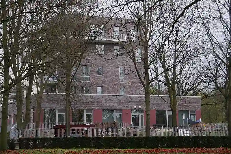 Neubau mit Kopfseite zum Park