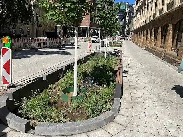Blick auf eine Bauminsel der Klimastraße