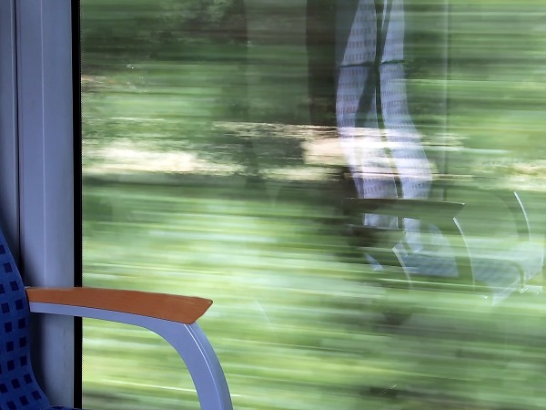 Blick aus dem fahrenden Zug auf Grünböschung