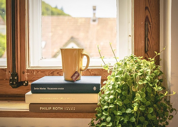 Das Bild zeigt eine Teetasse und Bücher auf einer Fensterbank