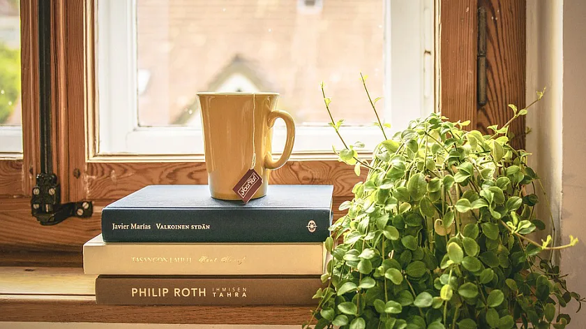 Das Bild zeigt Bücher und eine Teetasse auf einem Fensterbrett