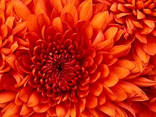 testbild